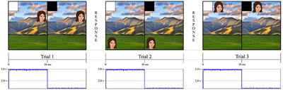 Stimulus Onset Hub: an Open-Source, Low Latency, and Opto-Isolated Trigger Box for Neuroscientific Research Replicability and Beyond